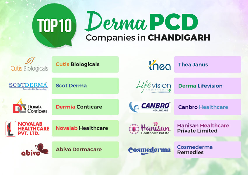 Top 10 Derma PCD Companies in Chandigarh
